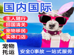 虹桥机场邮寄国际宠物托运 【国